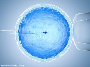 PGT实验室